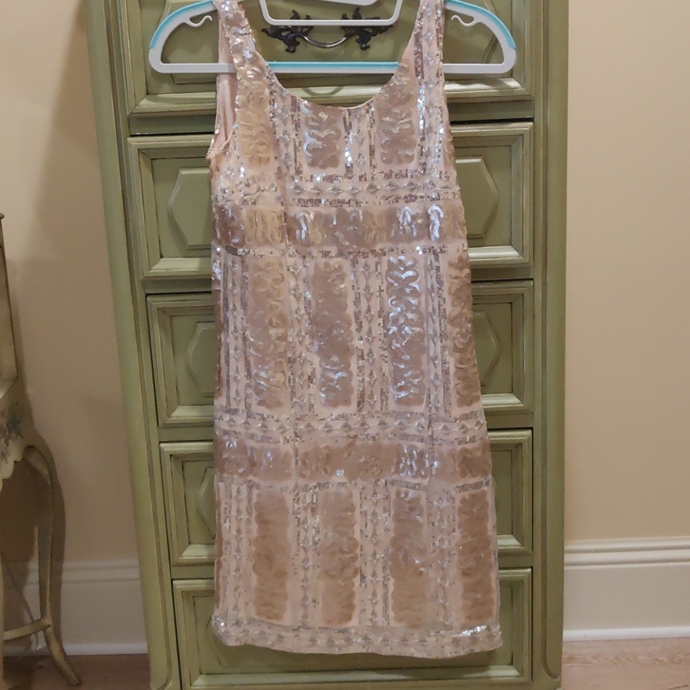 Gorgeous 1920s Inspired Dress